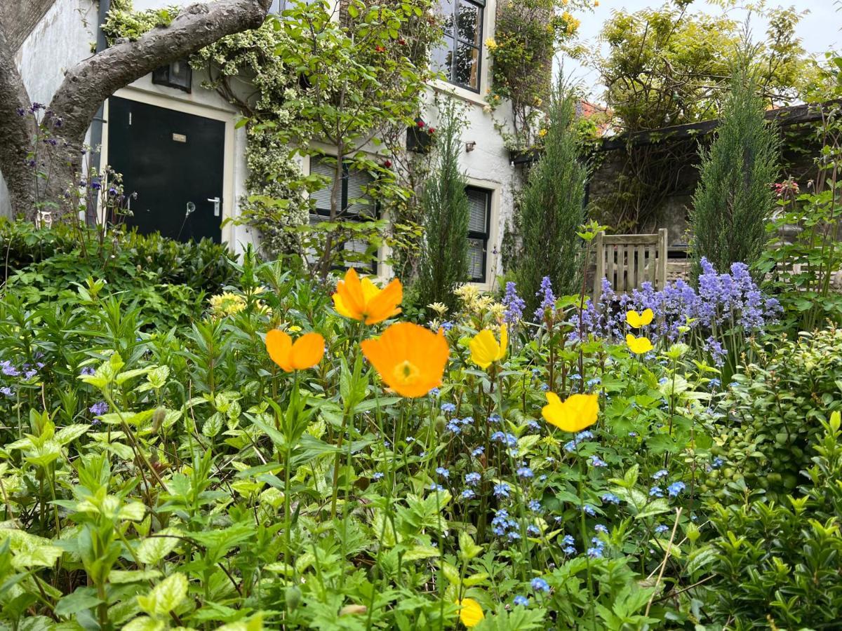 Apple Tree Cottage - Charming Home At Beautiful Canal In Our Idyllic Garden Gouda Eksteriør bilde